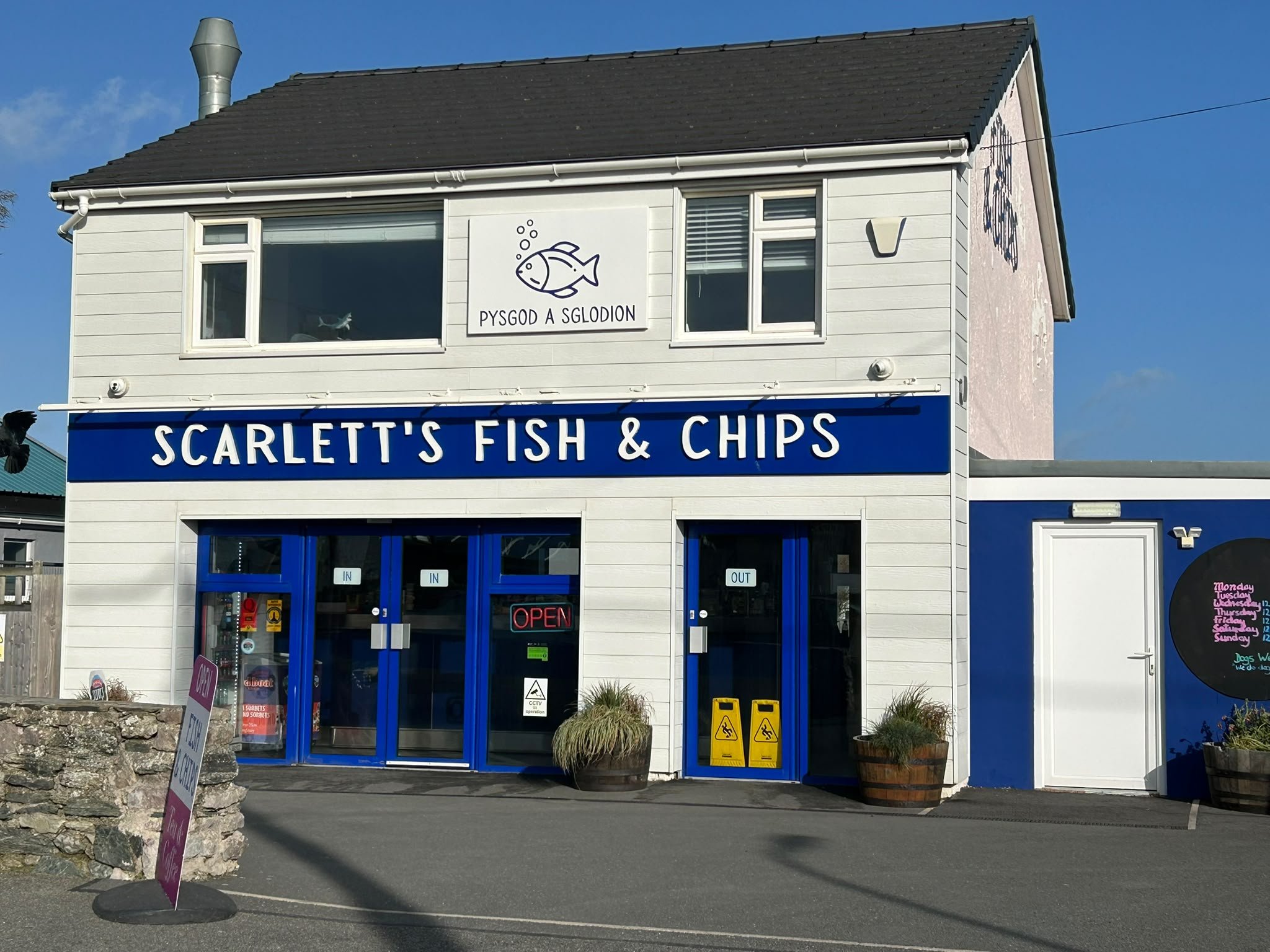 Scarlett's